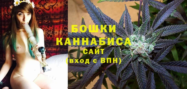 PSILOCYBIN Верхний Тагил