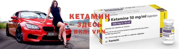 прущие грибы Бронницы