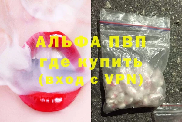 прущие грибы Бронницы