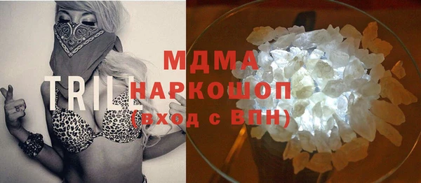 прущие грибы Бронницы