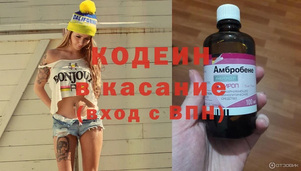 прущие грибы Бронницы